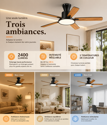 Zayna Bois & Noir 52” – Ventilateur de plafond LED silencieux réversible